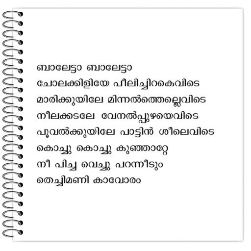 Picture of the product