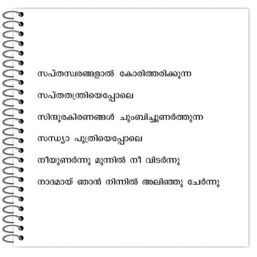 Picture of the product