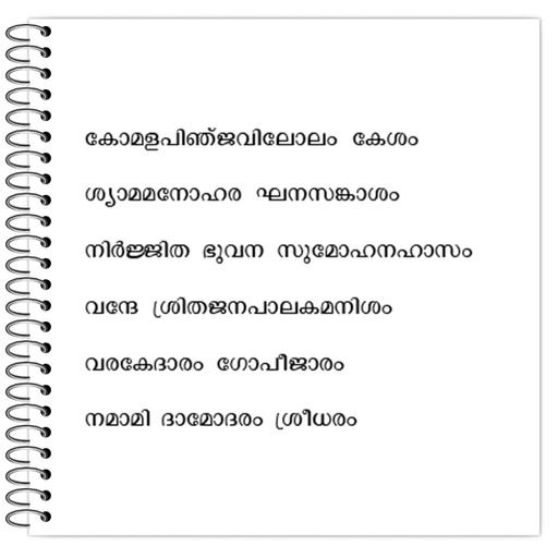 Picture of the product