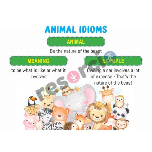 Picture of the product