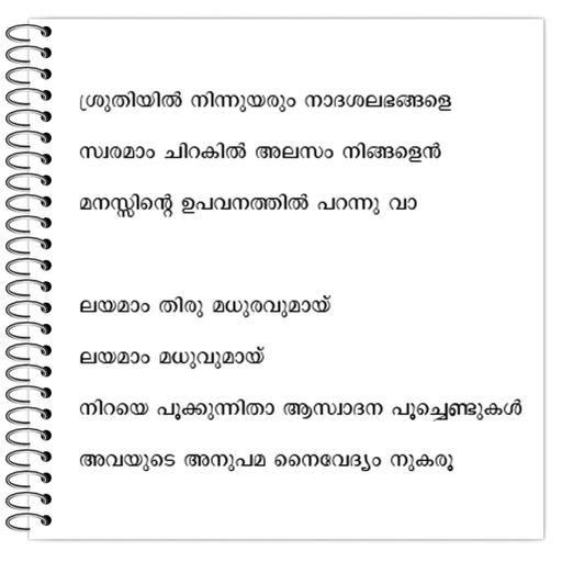 Picture of the product