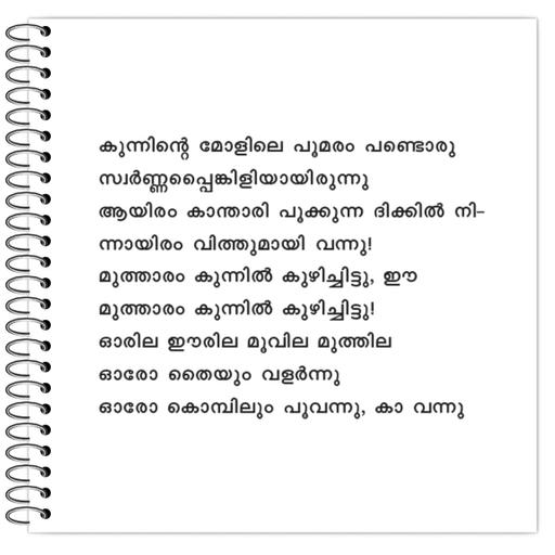 Picture of the product