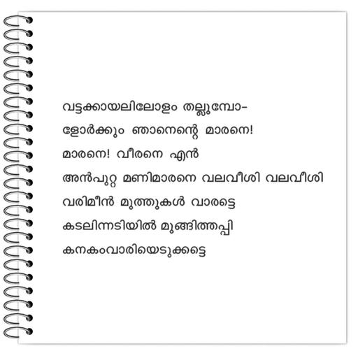 Picture of the product