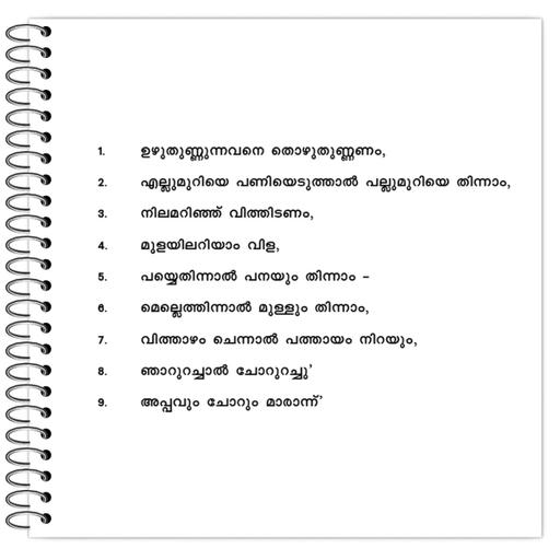 Picture of the product