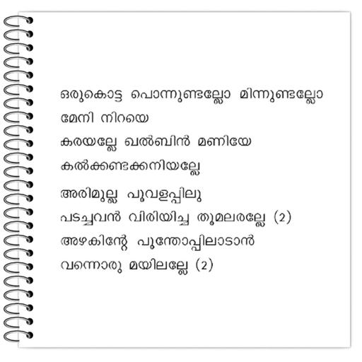 Picture of the product