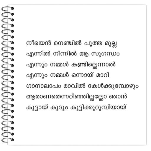 Picture of the product