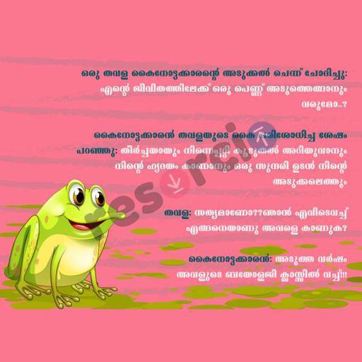 Picture of the product