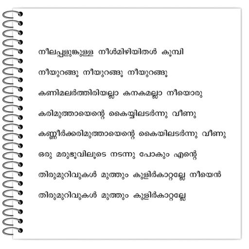 Picture of the product