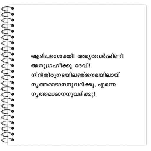 Picture of the product