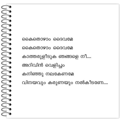 Picture of the product