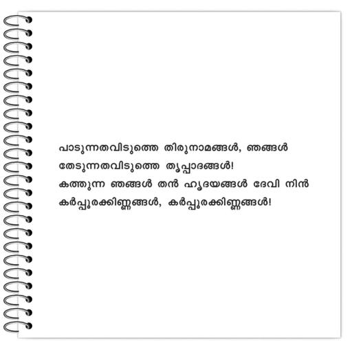 Picture of the product