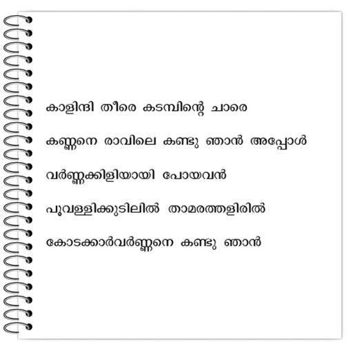 Picture of the product