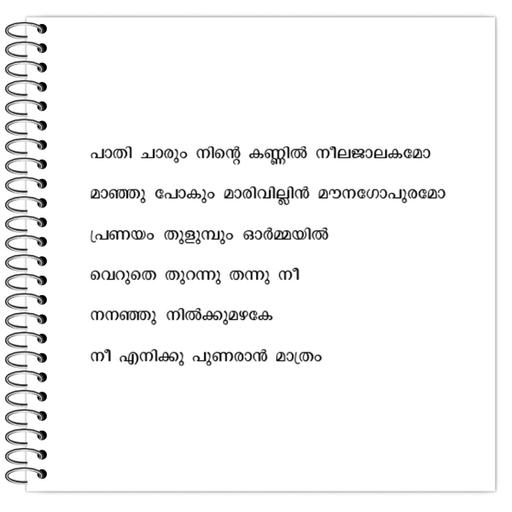 Picture of the product