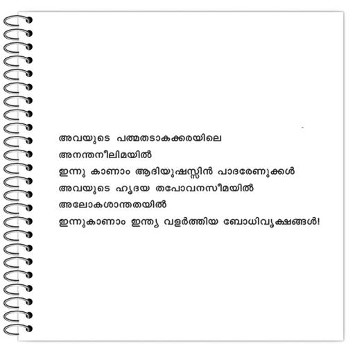 Picture of the product