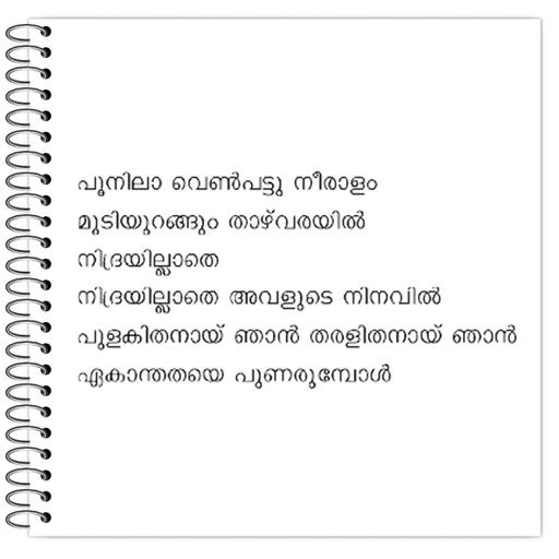 Picture of the product