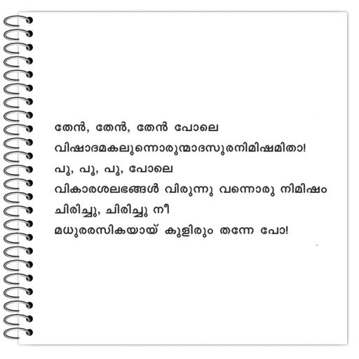 Picture of the product