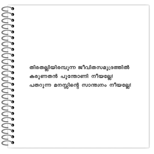 Picture of the product