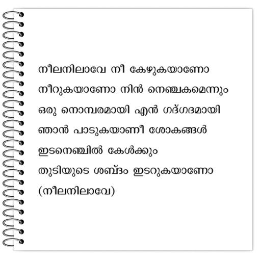 Picture of the product