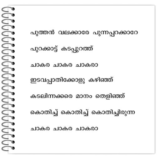 Picture of the product