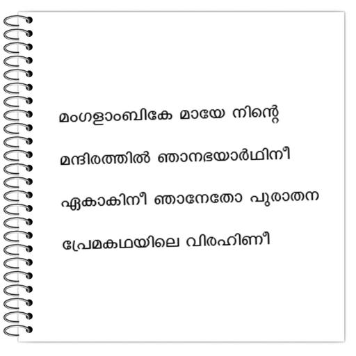 Picture of the product