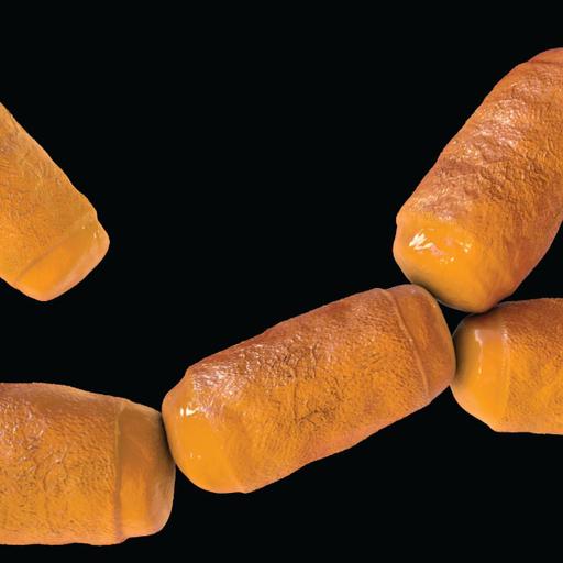 Picture of the product