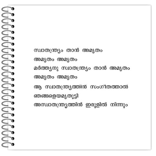 Picture of the product