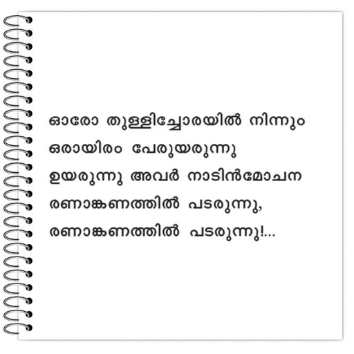 Picture of the product