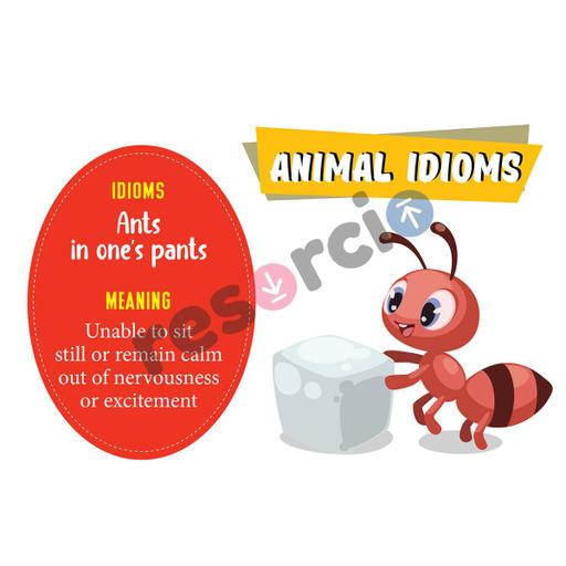 Picture of the product