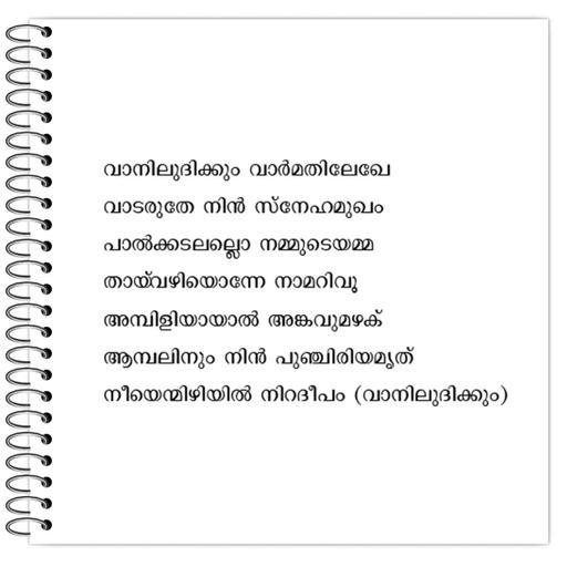 Picture of the product