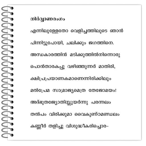 Picture of the product