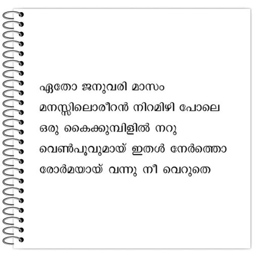 Picture of the product