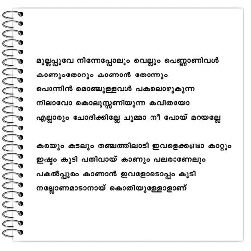 Picture of the product