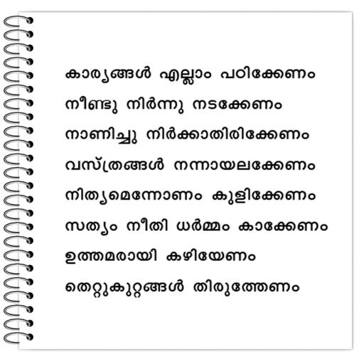 Picture of the product