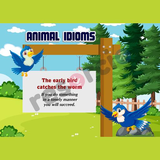 Picture of the product