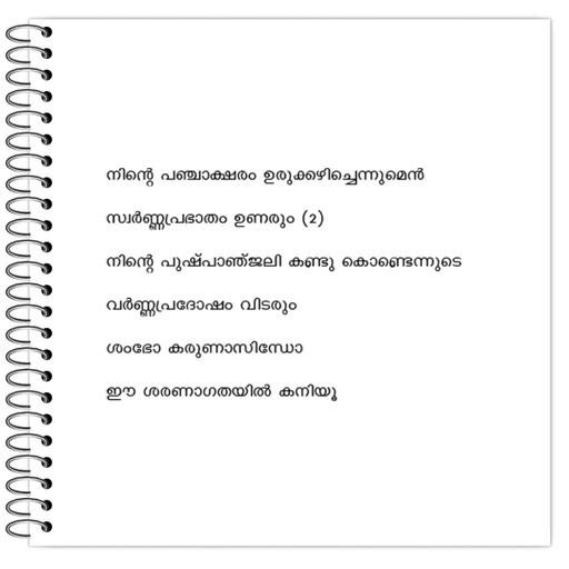 Picture of the product