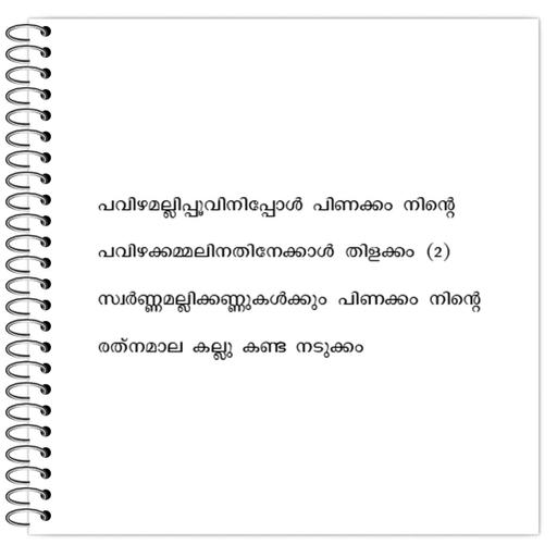 Picture of the product