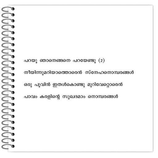 Picture of the product