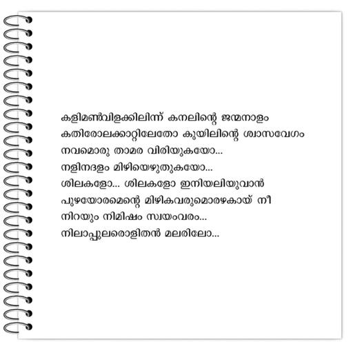 Picture of the product