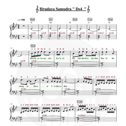 Picture of the product