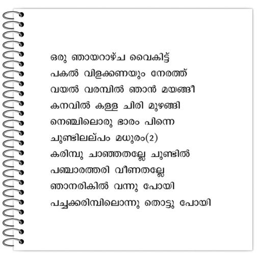 Picture of the product