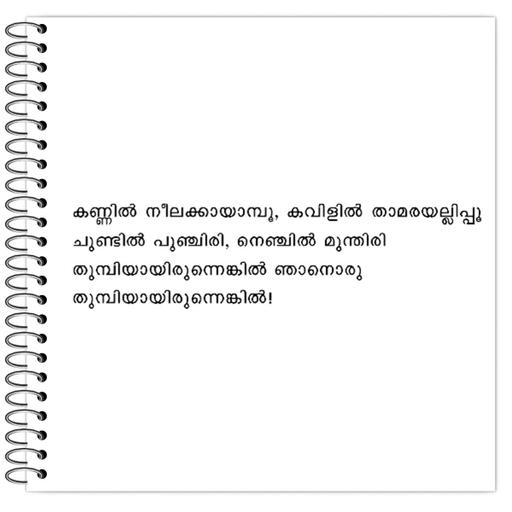 Picture of the product