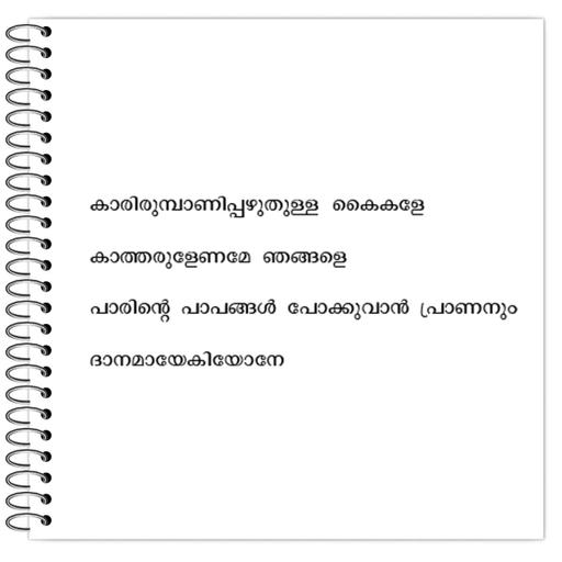 Picture of the product