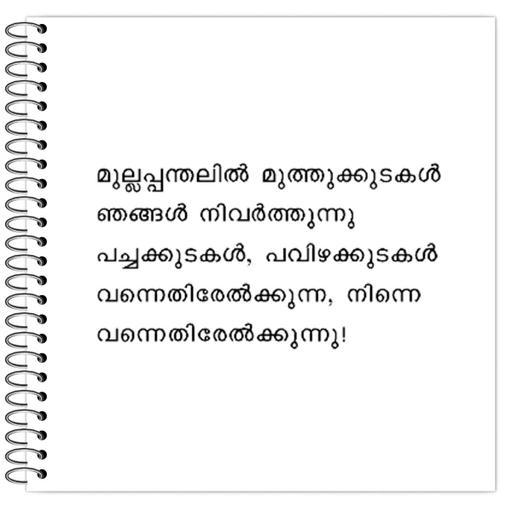 Picture of the product