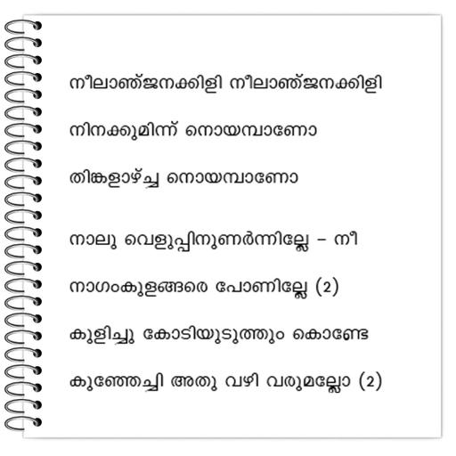 Picture of the product