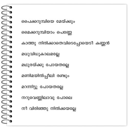 Picture of the product