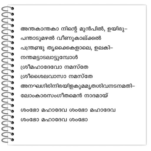 Picture of the product