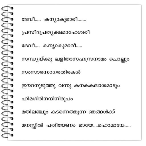 Picture of the product