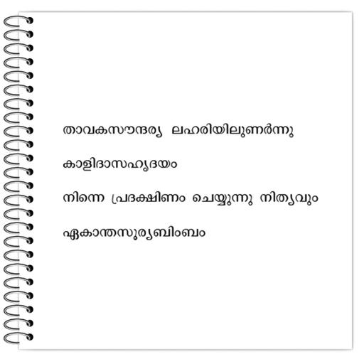 Picture of the product