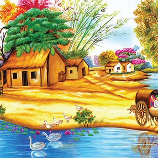 Picture of the product