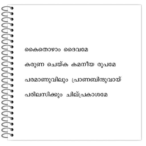 Picture of the product